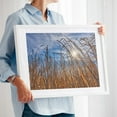 thumbnail image 2 of Wetland Cattails - Photography Nature Landscape Autumn Scenic Rural Minimalist Wilderness White Framed Wall Art Print 6 x 8 inches, 2 of 4