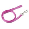 Vibrant Life Solid Nylon Dog Leash, Purple, Small, 5'