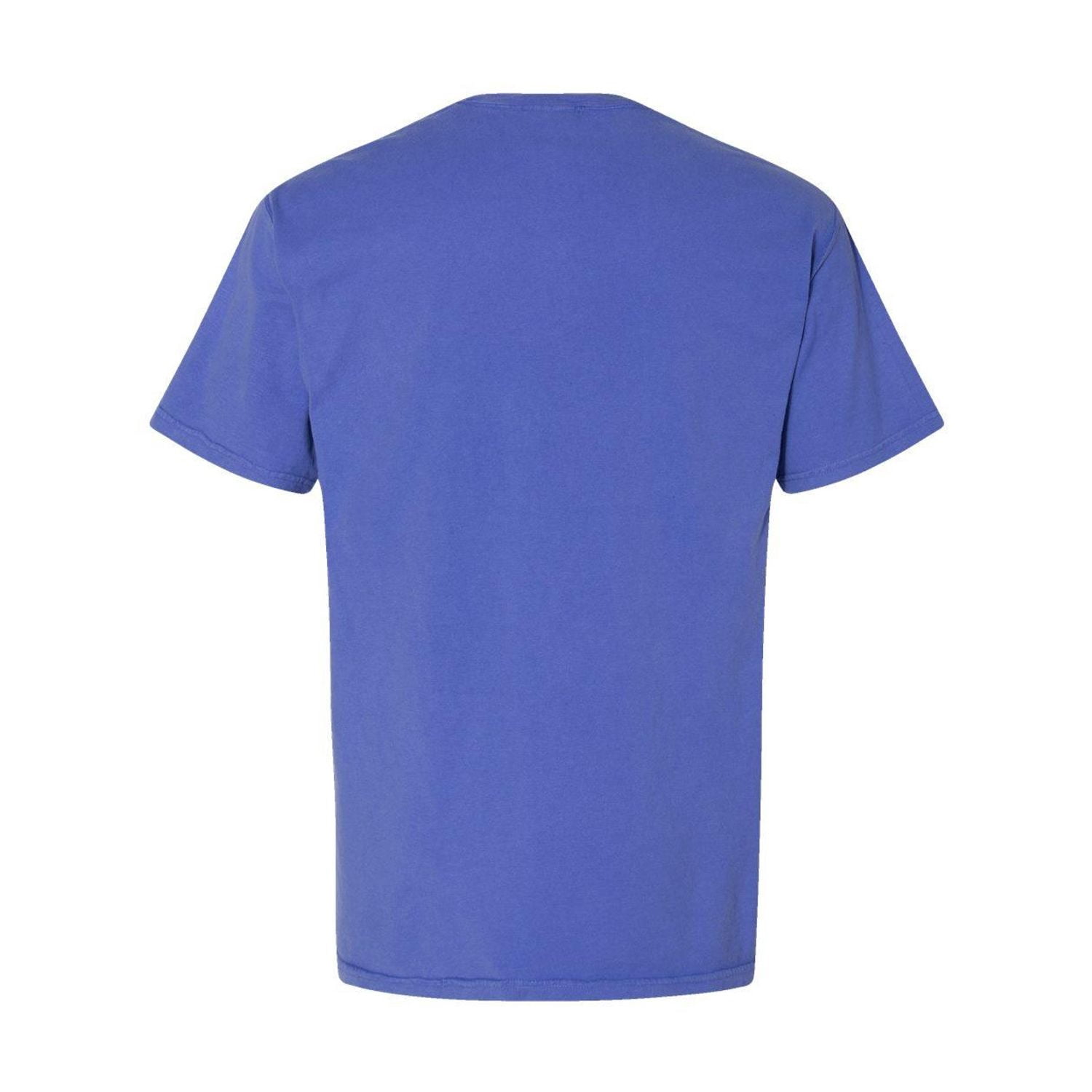 Hanes Big Men's ComfortWash Short Sleeve T-Shirt