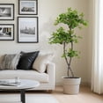 thumbnail image 2 of Accreate 5-Foot Artificial Black Olive Tree with Built-in LED Lights – Tall Fake Indoor Plant in Plastic Nursery Pot, Realistic Faux Tree for Home, Office, and Living Room Decor, 2 of 9