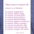thumbnail image 3 of CafePress - What Cancer Cannot Do Poem Men's Deluxe T Shirt - Mens Tri-blend T-Shirt, 3 of 4