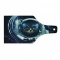 thumbnail image 1 of Space Cat Cutting Board, Kitty in Space Suit Loking from Rocket in Galactic Space Orbit Art, Decorative Tempered Glass Cutting and Serving Board, Wine Bottle Shape, Dark Blue and White, by Ambesonne, 1 of 1