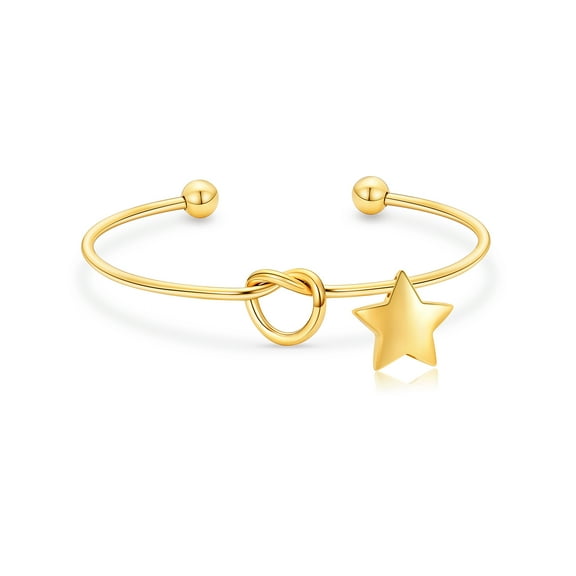 Star Locket Stainless Steel Open Bangle Funeral Urn Bracelet for Ashes Holder Cremation Jewelry for Dog Ashes Cat Ashes Bracelet