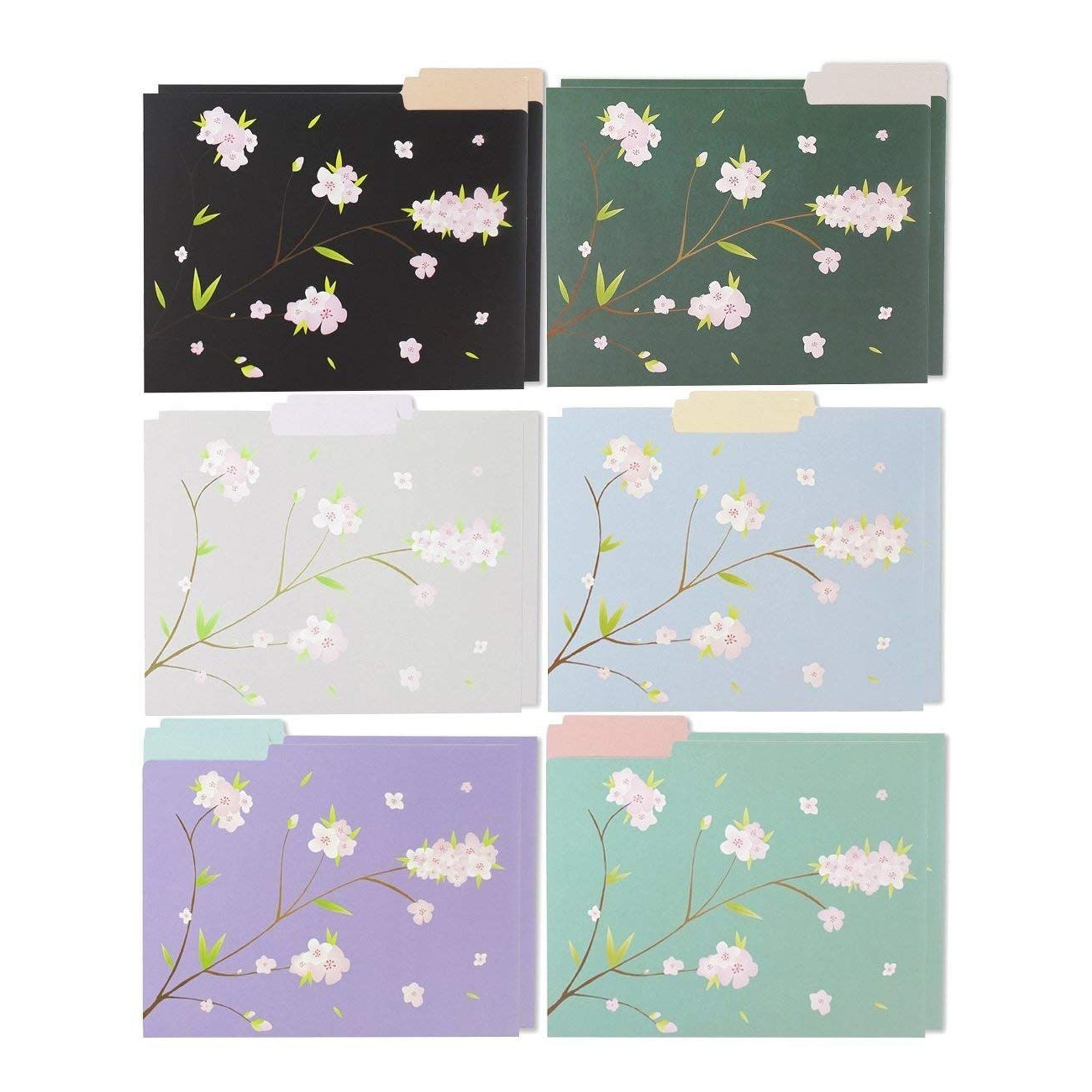 Decorative File Folders 12 Count Colored File Folders Letter
