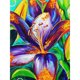 thumbnail image 1 of Diamond Painting (DE6104) Kit cuadrado 5D Flower DIY Rhinestone Art (FH306) 45x60cm Hugtrwg Para estrenar, 1 of 1