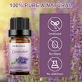 thumbnail image 7 of Sedbuwza Essential Oil 100% Pure Sandalwood, Lavender and Peppermint Set 10ml, 7 of 7