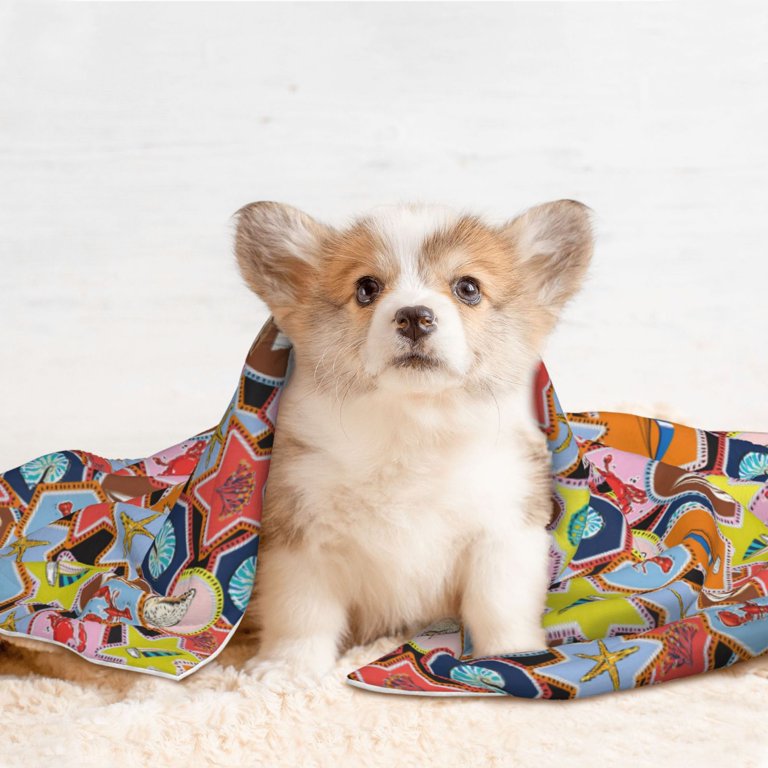 Qekee Beach Life Print Pet Blankets Super Soft Fluffy Premium Pet