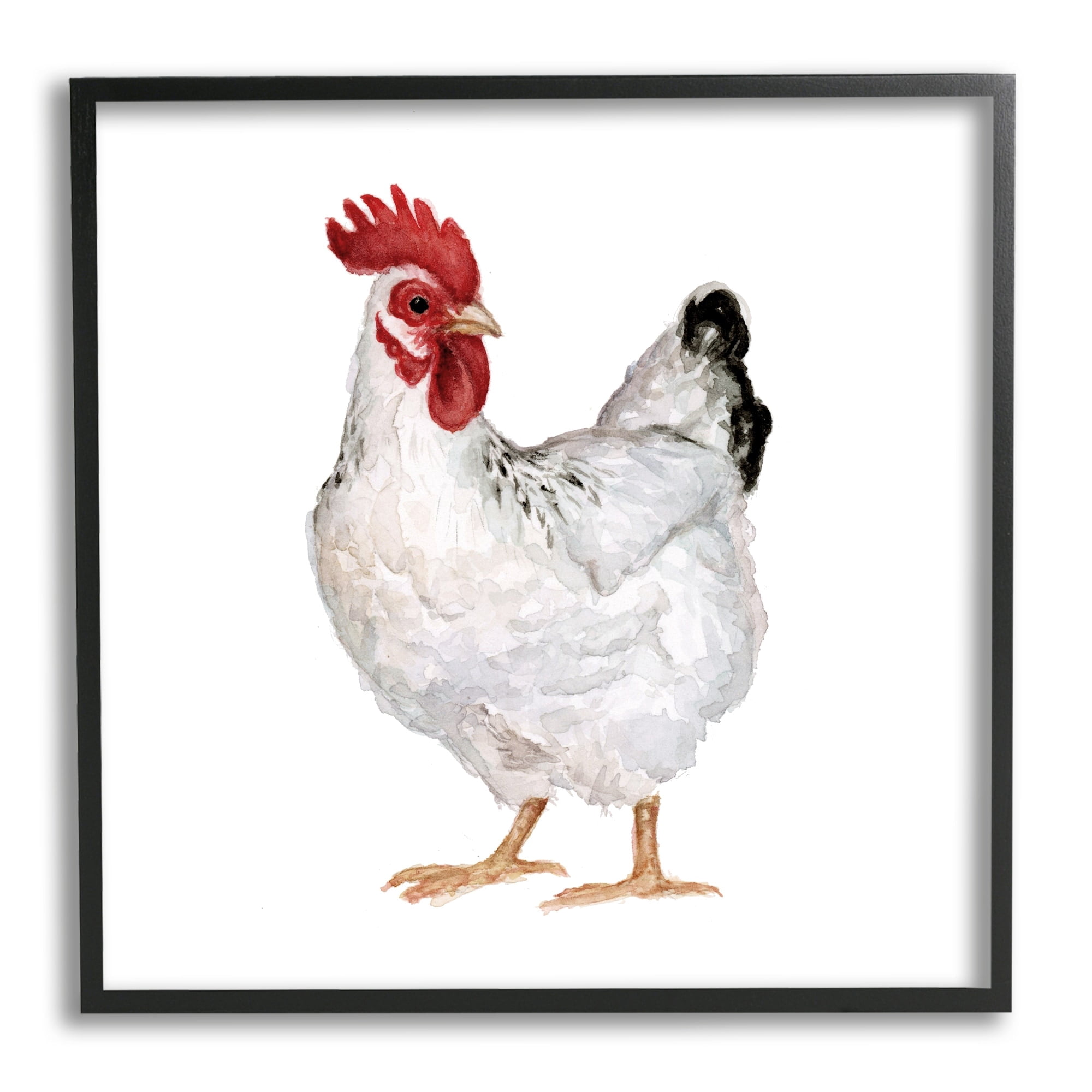 Stupell Industries Quaint Chicken Watercolor Painting Farm Hen Portrait, 24 x 24,Design by Fox Hollow Studios
