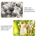 thumbnail image 6 of Dream Lifestyle 50 PCS Fruit Protection Bags,Reusable Netting Bags 8 x 12 Inch Mosquito Bug Insect Bird Nylon Garden Netting Bags with Drawstring for Protecting Plant Fruits Flower, 6 of 8