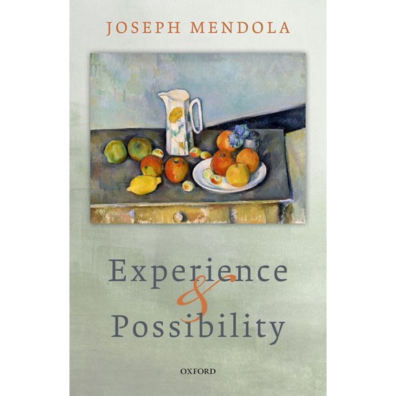Experience and Possibility C, (Hardcover)