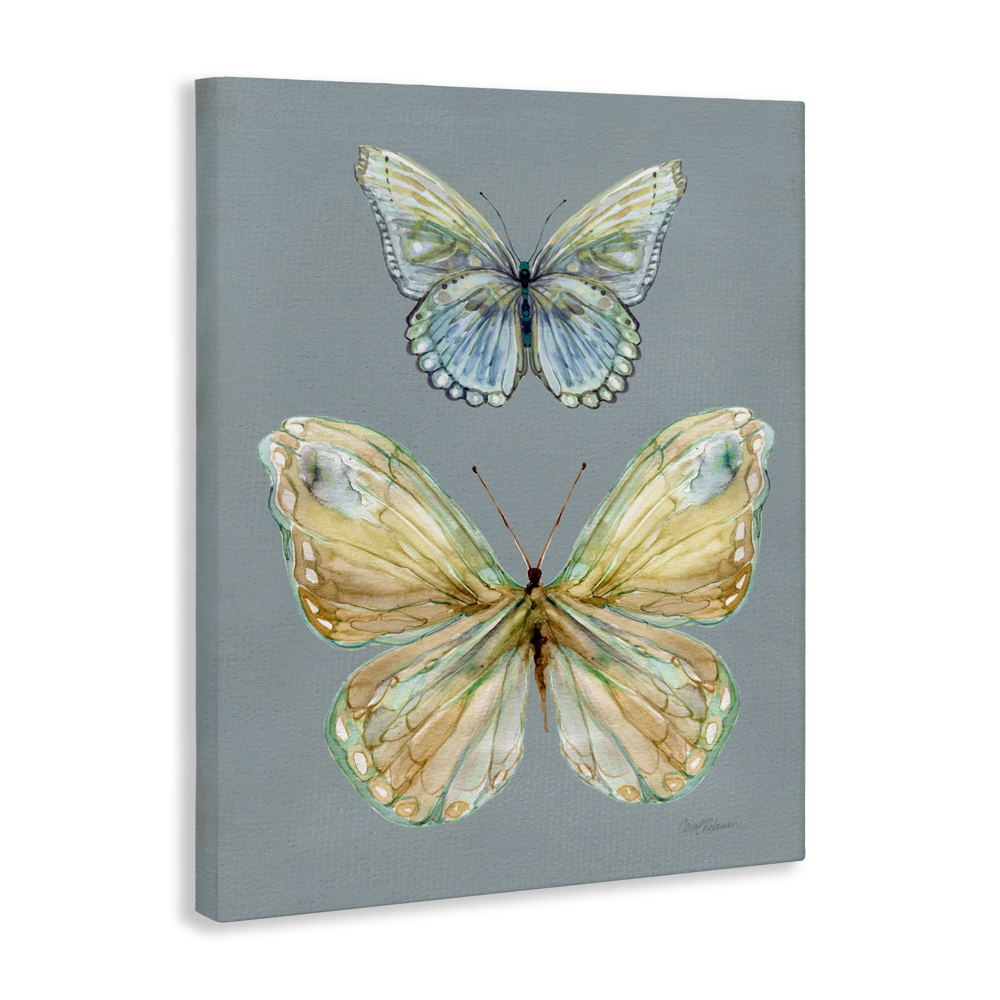 Stupell Industries Delicate Butterflies on Slate Canvas Wall Art, design by Carol Robinson