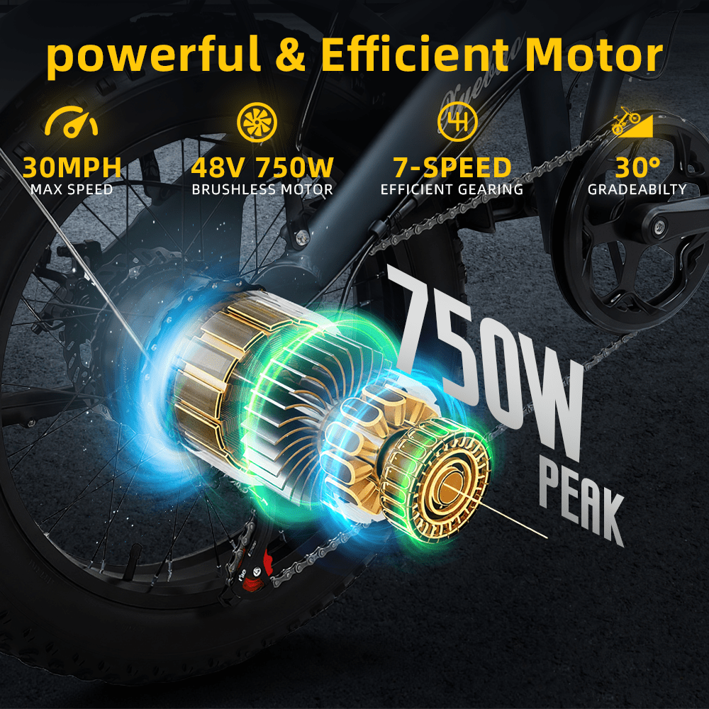 Folding Electric Bike for Adults, 48V 14Ah Battery, 20”x4” Fat Tire for All-Terrains, E-Bike with 750 Powerful Motor