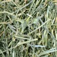 thumbnail image 2 of OxBow Foin de Luzerne pour Petits Animaux, 144oz / 9lb, 2 of 5