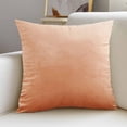 thumbnail image 6 of Euahivb Velvet Throw Pillow 17.7x17.7 Inch Soft Plush Cushion for Sofa Couch Living Room Bedroom Home Decor Accessories, 6 of 6