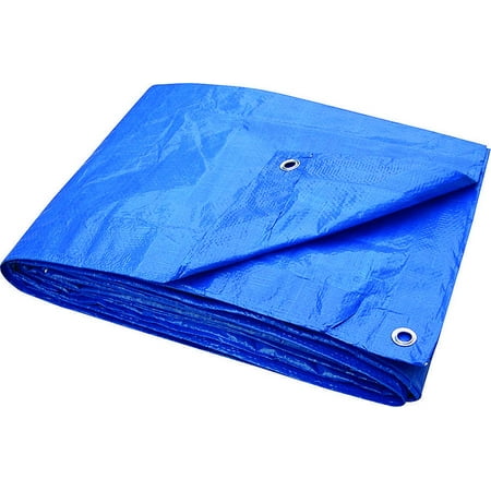 Toolbasix T1620BB70 Light Duty Tarpaulin, 16 X 20 ft, Plastic, Blue