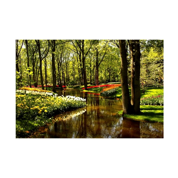 Canvas Wall Art - DANE 'Keukenhof Gardens 2' Wall Art for Living Room, Bedroom, or Office Décor by Trademark Fine Art - 19 x 12 Inches