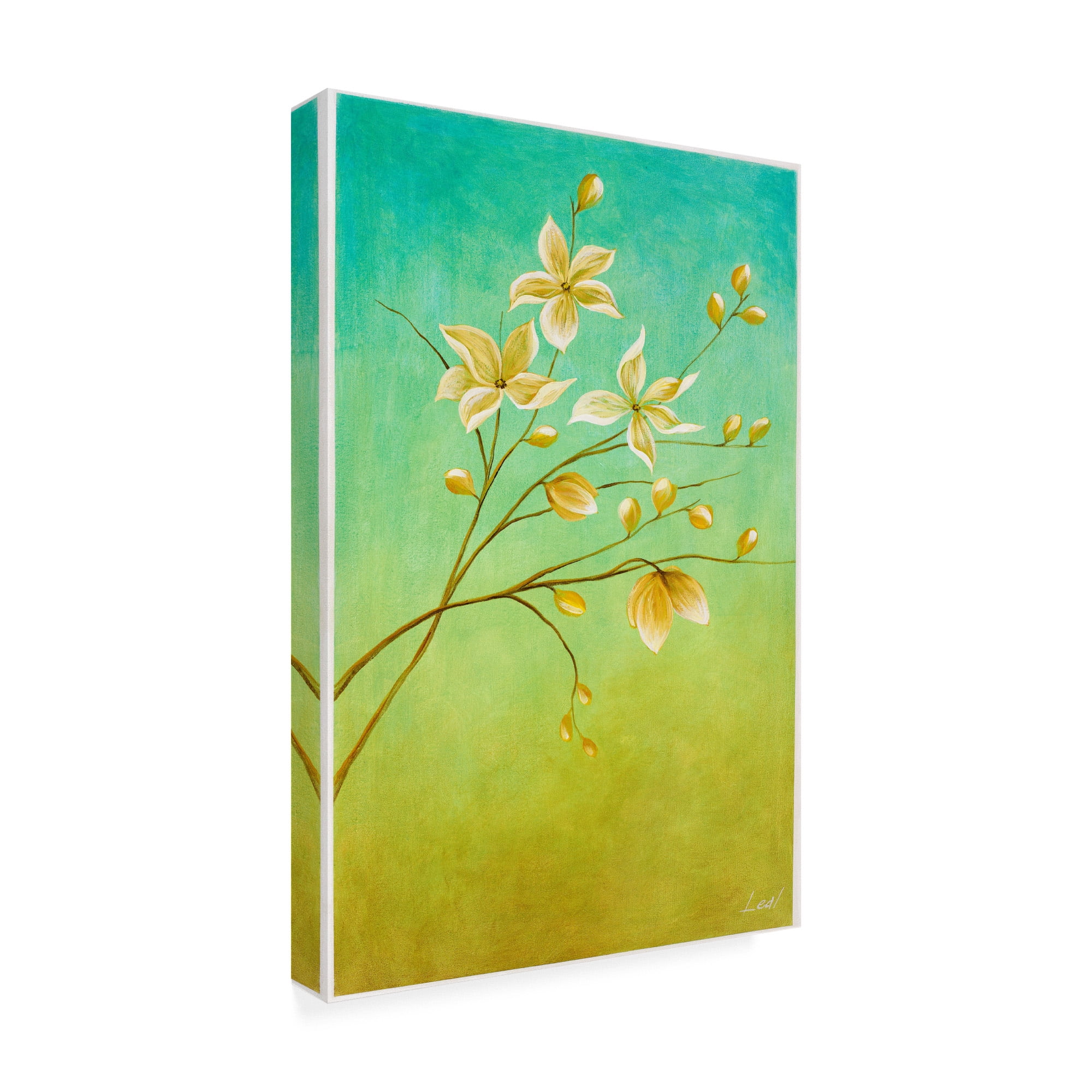 Trademark Fine Art 'White Flower Branch 2' Canvas Art by Pablo Esteban
