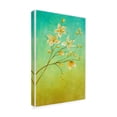 thumbnail image 2 of Trademark Fine Art 'White Flower Branch 2' Canvas Art by Pablo Esteban, 2 of 3