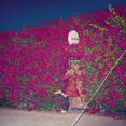 thumbnail image 1 of Feist - Pleasure, 1 of 2