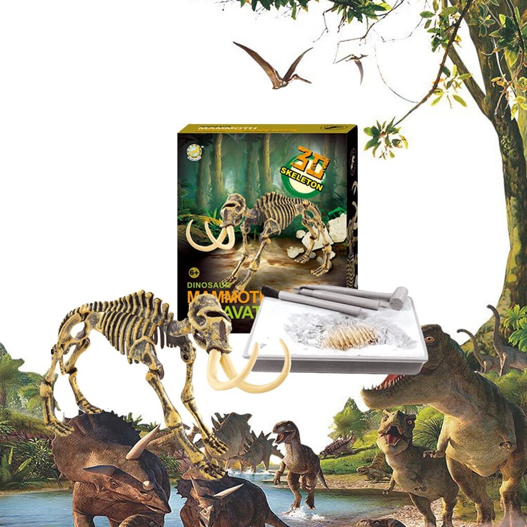 dinosaur fossil sandbox