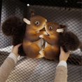 thumbnail image 5 of Simulation Cute Squirrel Plush Toy Soft Stuffed Cartoon Doll, 5 of 5