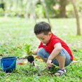 thumbnail image 3 of Lawn Garden Tools Digging Weeding Planting Household Gardening Tools, 3 of 3