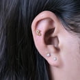 thumbnail image 4 of Limerencia Titanium Screw-on Earrings, Hypoallergenic, Puppy Shaped Studs for Women and Men with Sensitive Ears, 4 of 7