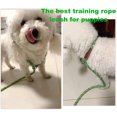 thumbnail image 3 of Correa para perro con correa antideslizante, correa para pasear y entrenar perros con cuerda, correa de nailon resistente sin tirones, 3 of 5