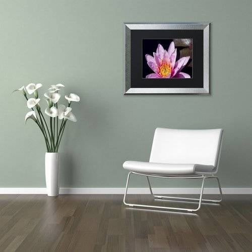 Trademark Fine Art "Pink Water Lily" Canvas Art by Kurt Shaffer, Black Matte, Silver Frame