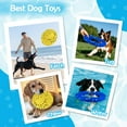 thumbnail image 2 of Juguete de piscina para perros BABORUI, flotante y duradero, de TPU, azul y amarillo, 2 of 7