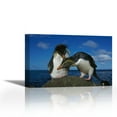 thumbnail image 1 of Rockhopper Penguin pair on rock, Nightingale Island, South Atlantic - Contemporary Fine Art Giclee on Canvas Gallery Wrap - wall décor - Art painting - 36 x 23 Inch - Ready to Hang, 1 of 2