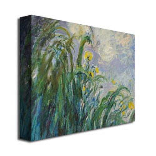 Trademark Fine Art "The Yellow Iris" Canvas Wall Art by Claude Monet