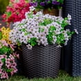 thumbnail image 2 of GRNSHTS Artificial Flowers for Outdoors Fake Plants - 8 Bundles Faux Outside Greenery Boxwood No Fade Plastic Shrubs Fall Decor Farmhouse Home Garden Christmas, 2 of 17