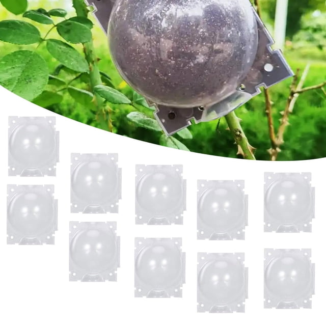 10 Cajas De Para Enraizar Plantas Y árboles Para Jardín Doméstico Y Exterior.
