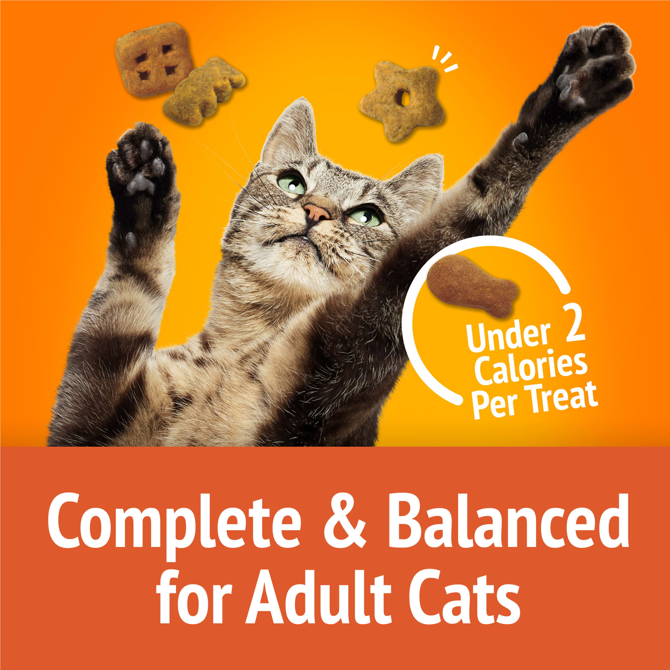 Friskies Party Mix Original Crunch Cat Treats, 30 Oz photo 7