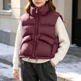 thumbnail image 3 of StSilkitty Puffer Vest for Boys Girls Zip up Sleeveless Stand Collar Jacket Coat Fall Winter Warm Outerwear with Pockets, 3 of 9