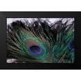 thumbnail image 2 of Berzel, Erin 18x13 Black Modern Framed Museum Art Print Titled - Peacock Feathers II, 2 of 5