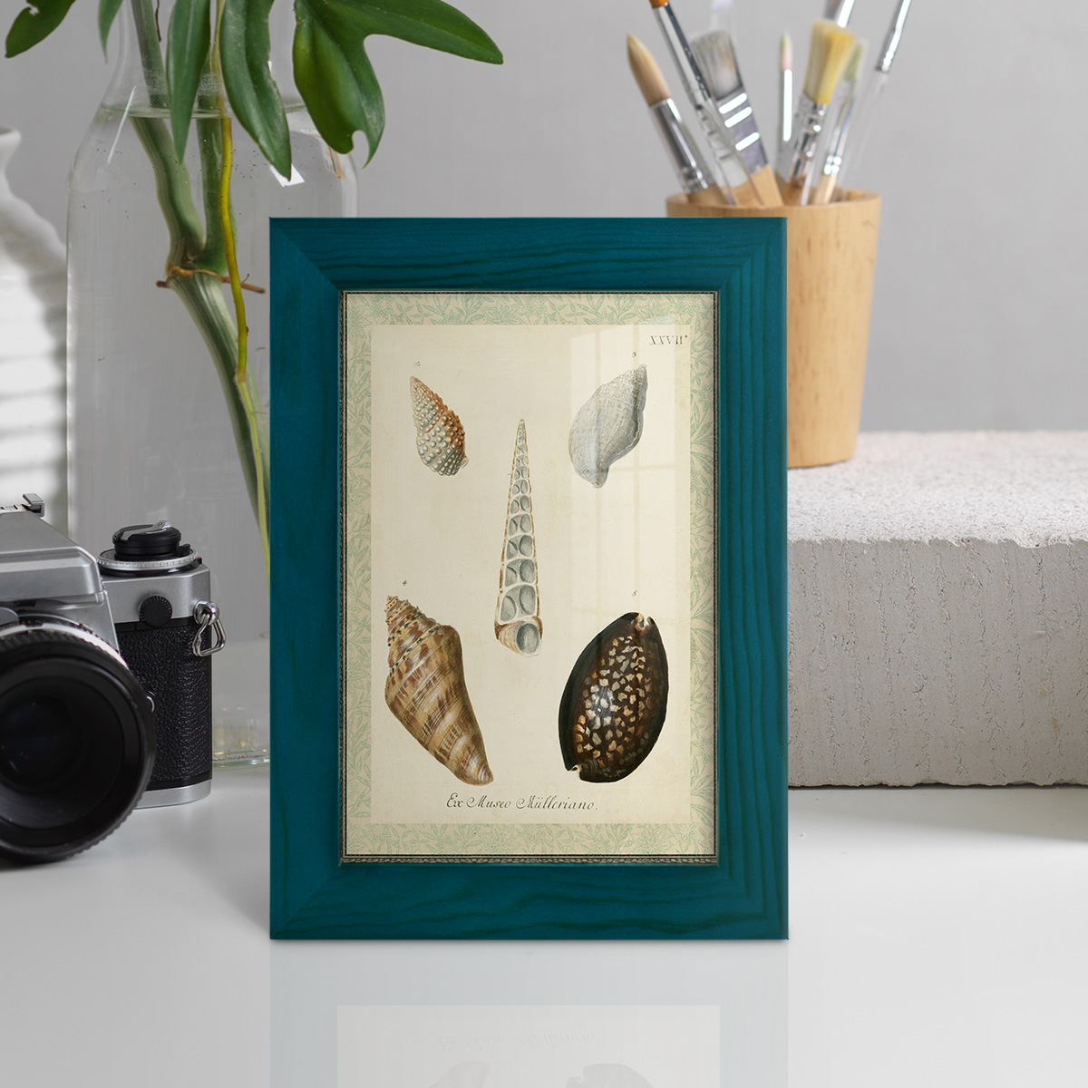 Bookplate Shells IX - Framed Print w/glass - Ocean Blue