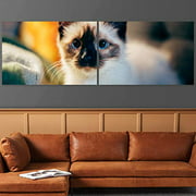 Color-Banner 2 Pieces Modern Canvas Wall Art Cat Looking into Camera for Living Room Home Decorations - 24"x36" x 2 Panels