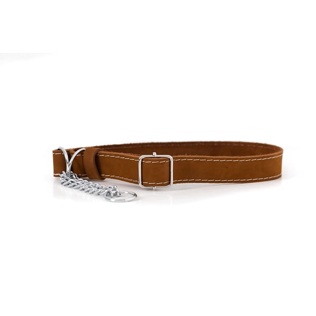 Collar para Perro Euro-Dog de Cuero Martingale Ajustable
