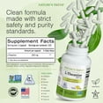 thumbnail image 2 of L-Theanine 200mg - 120 Vegetarian Capsules - Non GMO Project Verified - Natures Trove, 2 of 9