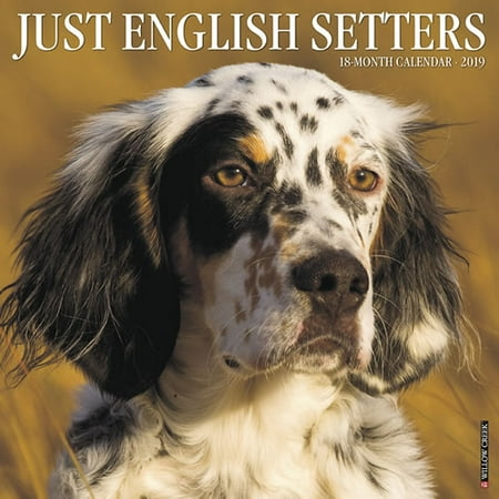 English Blue Willow - Willow Creek Press 2019 Just English Setters Wall Calendar