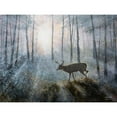 thumbnail image 3 of Lynnsy, B. 14x12 Black Modern Framed Museum Art Print Titled - Deer Path IV, 3 of 5