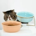 thumbnail image 5 of Anti Vomiting Easy Cleaning Neck Protect with Bracket Ceramic Material Slope Design Cat Feeding Bowl Dog Drinking Dish Pet Accessories Cat Bowl BLUE S WITH BRACKET, 5 of 8