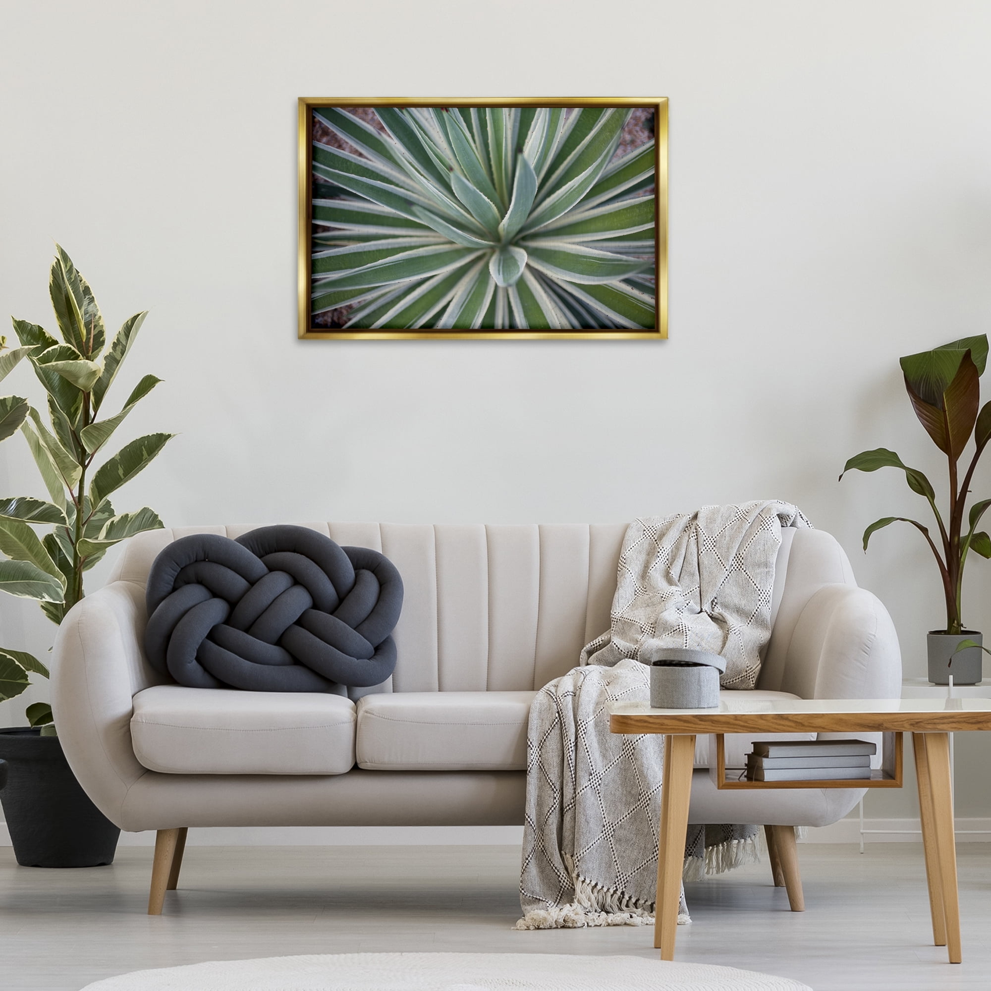 Stupell Industries Centric Succulent Leaves Botanical & Floral Photography Gold Floater Framed Canvas Art Print Wall Art, 31 x 21