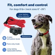PetSafe Basic In-Ground Pet Fence for Dogs and Cats with 2 Waterproof and Battery-Operated Collars - Underground Electric Collar - From the Parent Company of Invisible Fence Brand for Pets 8lbs & up
