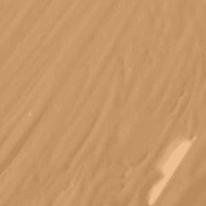 Medium Sand (medium with neutral undertones)