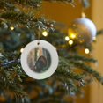 thumbnail image 7 of 3drose, Eastern Wild Turkey Gobbler, Stephen A. Forbes State Park, Ilinois, Circle Porcelain Ornament, 7 of 7