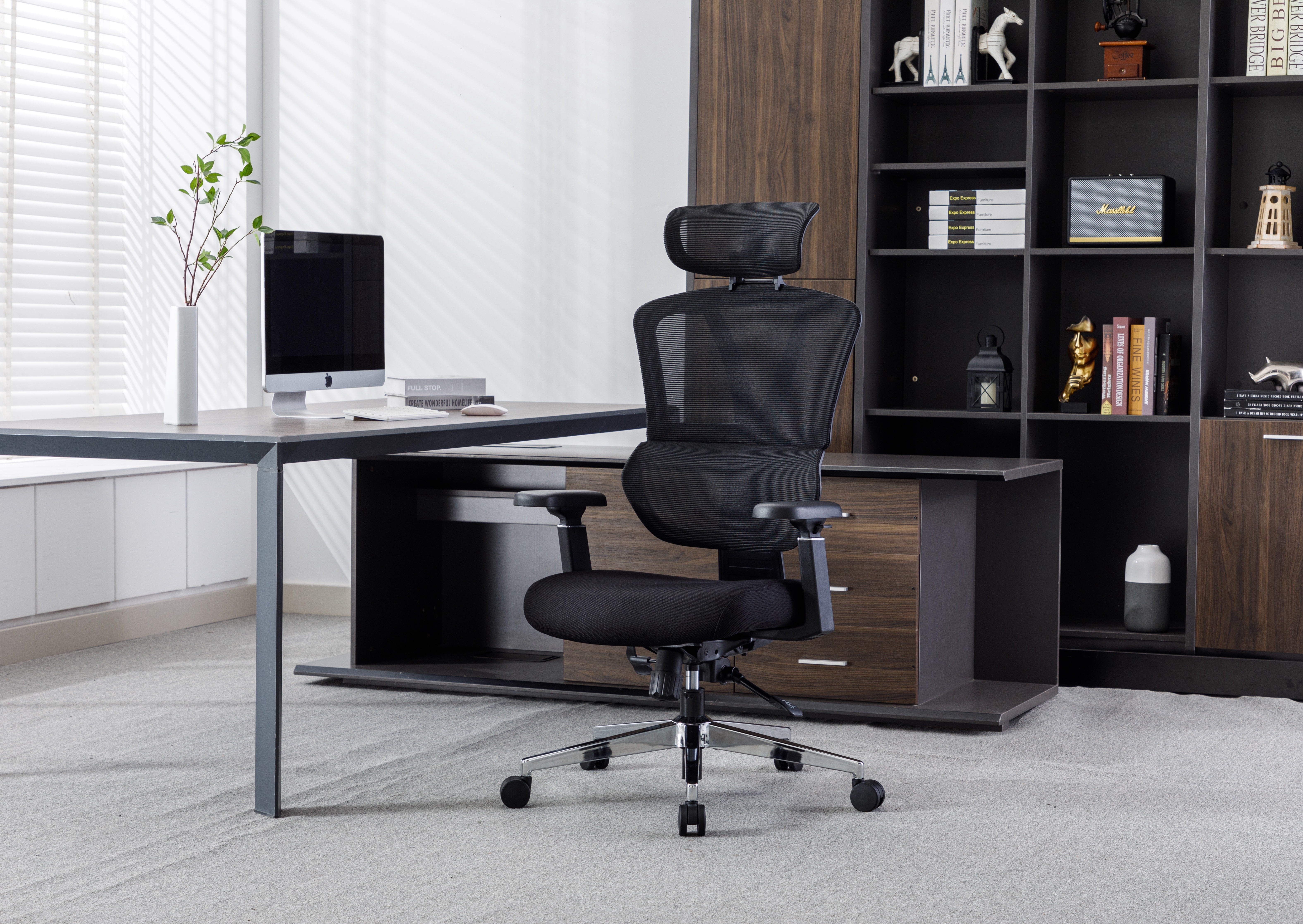 CHAIR MASTER Ergonomic High Back Mesh Office Chair, 3D Armrest, Adjustable Headrest, Variable Tilt (Nylon Casters)