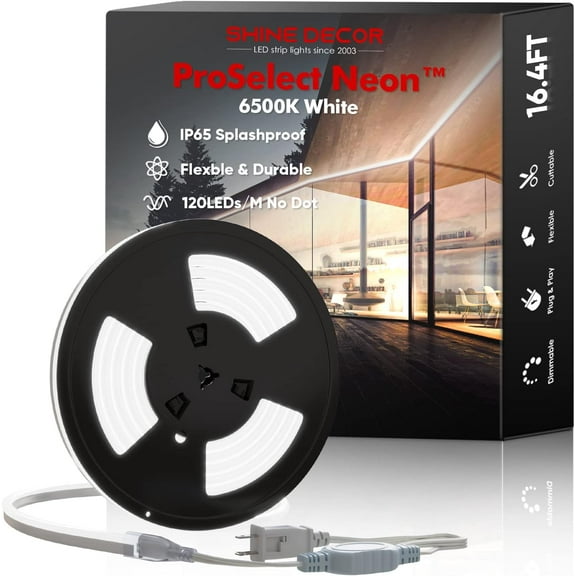 Shine Decor LED Neon Rope Lights 16.4FT, Neon LED Strip Light 6500K Cool White 120LEDs/M Flexible, ETL-Listed 110V-120V AC Rope Lights Waterproof, Custom Cuttable Neon Lighting for in&Outdoor